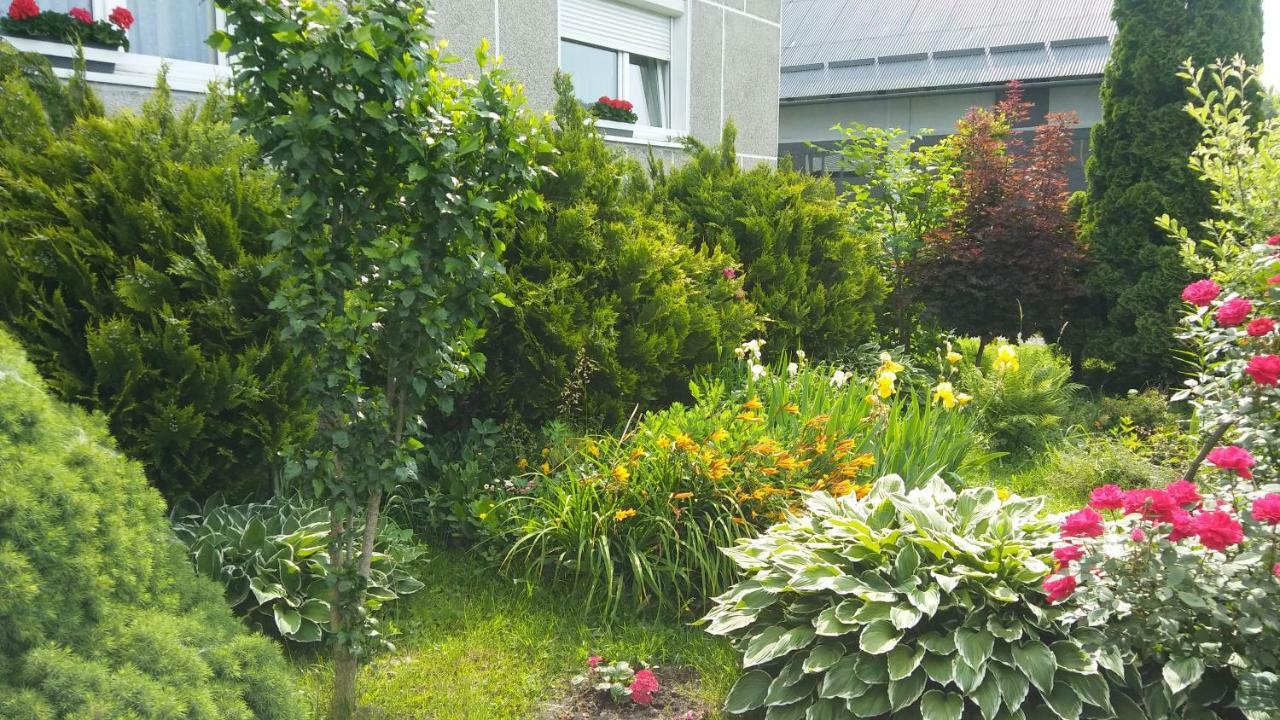 Apartament Jutrzenka Spytkowice  외부 사진